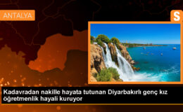 Diyarbakır’da beyin ölümü gerçekleşen kişinin böbreğiyle sağlığına kavuştu