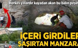 Herkes yıllardır kayadan akan bu balın peşinde! İçeri girdiler, şaşırtan manzara