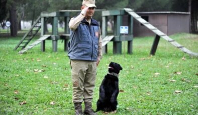 TSK’nın eğitimli köpekleri operasyonlarda etkin rol oynuyor