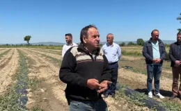 CHP Milletvekili Ahmet Vehbi Bakıroğlu, dolu afetinden etkilenen çiftçilere destek çağrısı yaptı