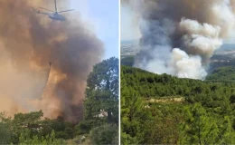 4 ilde orman yangını alarmı! Ekiplerin zamana karşı yarışı başladı